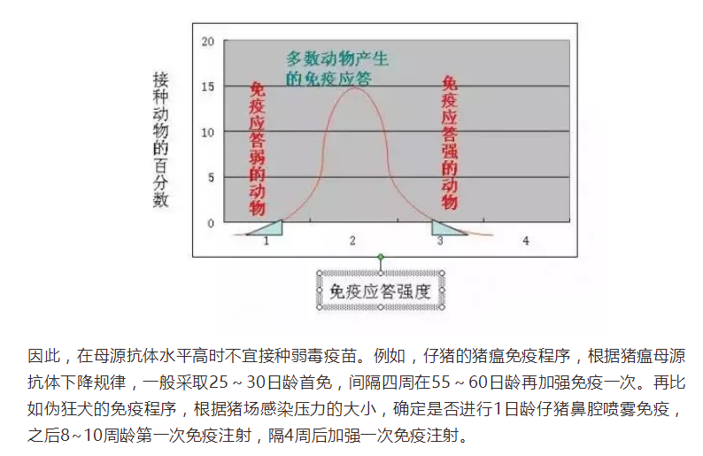2(4).png