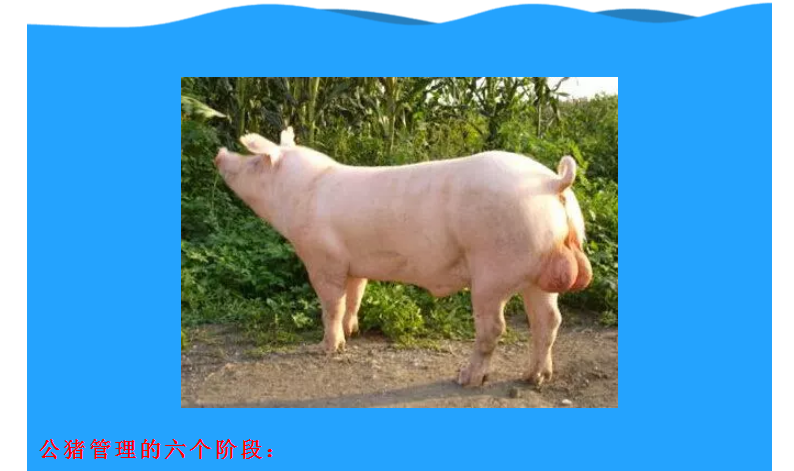2(1).png
